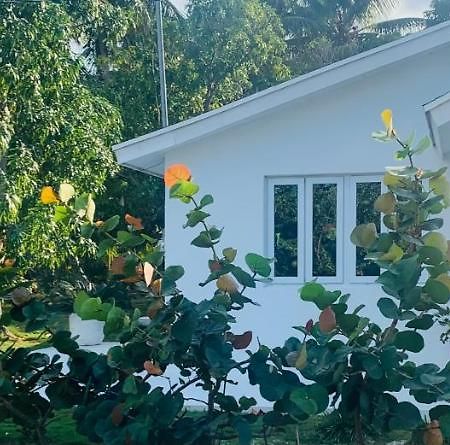 The Cay House Hotel Mangrove Cay Екстериор снимка
